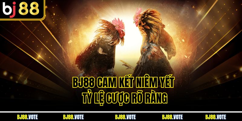 BJ88 cam kết niêm yết tỷ lệ cược rõ ràng