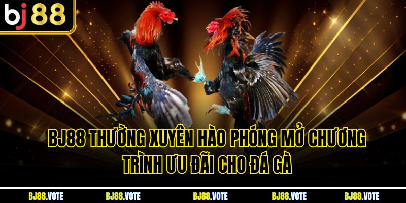 BJ88 thường xuyên hào phóng mở chương trình ưu đãi cho đá gà