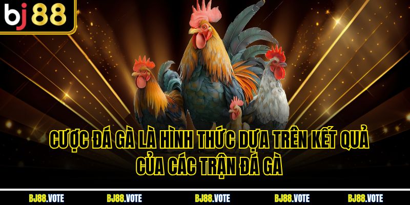 Cược Đá Gà là hình thức dựa trên kết quả của các trận đá gà