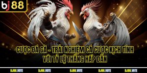 Cược Đá Gà – Trải Nghiệm Cá Cược Kịch Tính Với Tỷ Lệ Thắng Hấp Dẫn