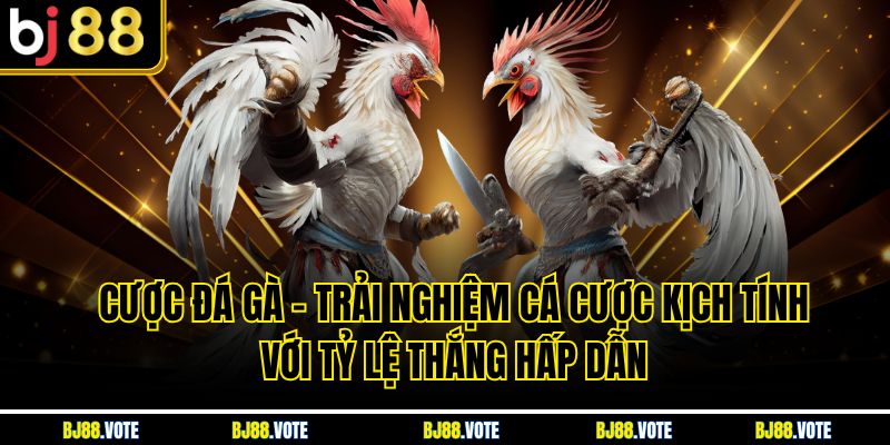 Cược Đá Gà – Trải Nghiệm Cá Cược Kịch Tính Với Tỷ Lệ Thắng Hấp Dẫn