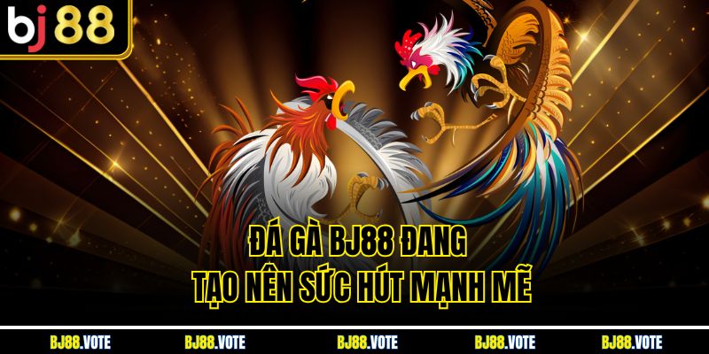 Đá Gà BJ88 đang tạo nên sức hút mạnh mẽ 