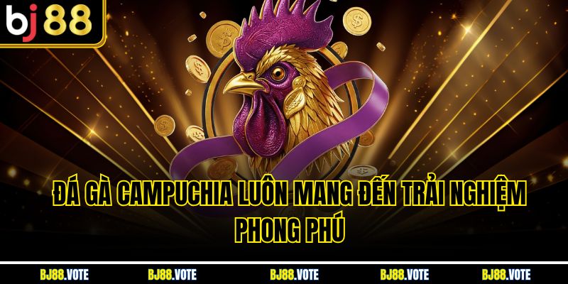 Đá Gà Campuchia luôn mang đến trải nghiệm phong phú 