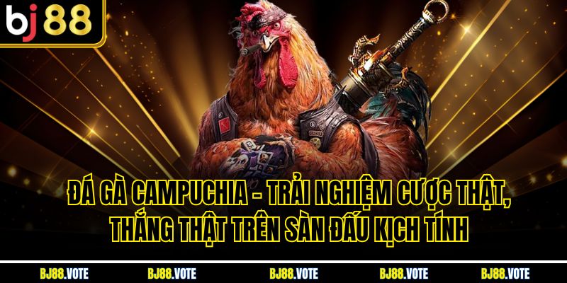 Đá Gà Campuchia – Trải Nghiệm Cược Thật, Thắng Thật Trên Sàn Đấu Kịch Tính