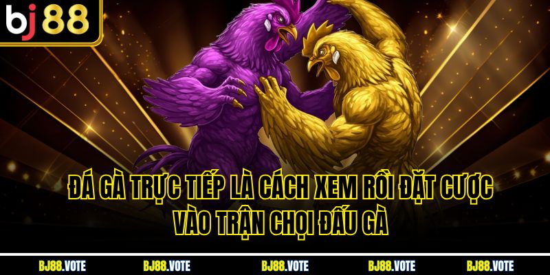 Đá Gà Trực Tiếp là cách xem rồi đặt cược vào trận chọi đấu gà
