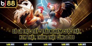 Đá Gà Trực Tiếp – Trải Nghiệm Cược Thật, Xem Thật, Thắng Thật