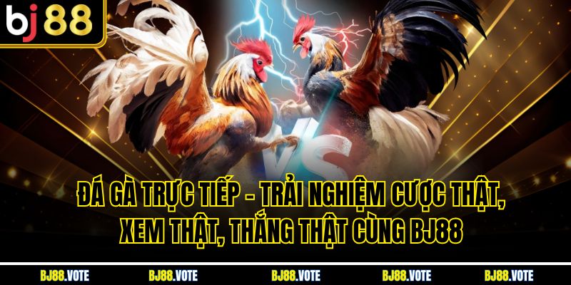 Đá Gà Trực Tiếp – Trải Nghiệm Cược Thật, Xem Thật, Thắng Thật