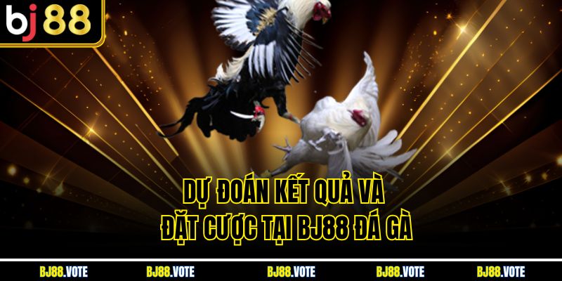 Dự đoán kết quả và đặt cược tại BJ88 đá gà