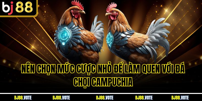 Nên chọn mức cược nhỏ để làm quen với đá chọi campuchia