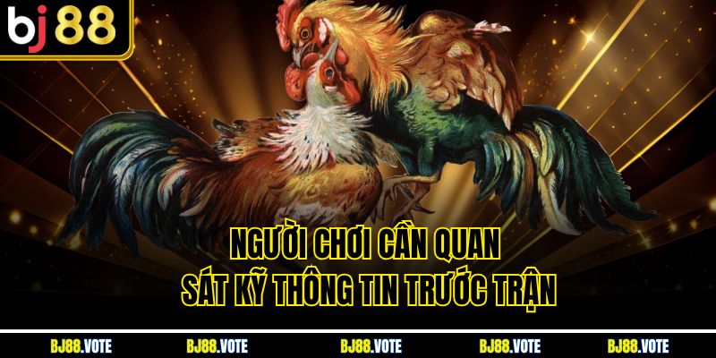 Người chơi cần quan sát kỹ thông tin trước trận