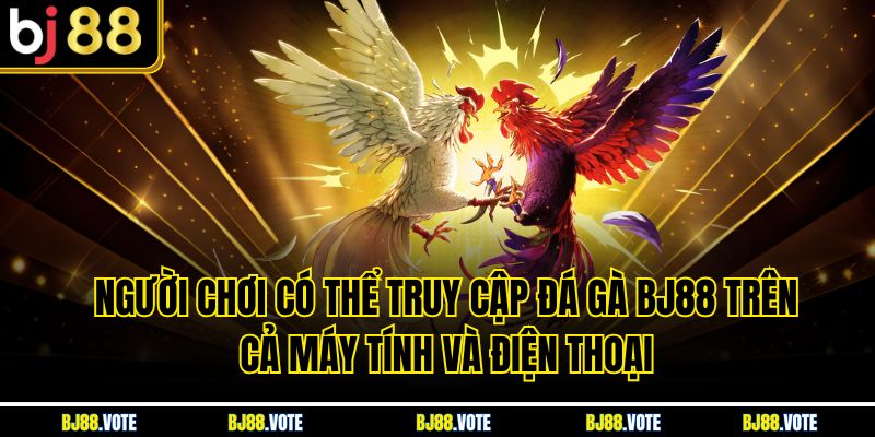 Người chơi có thể truy cập Đá Gà BJ88 trên cả máy tính và điện thoại 