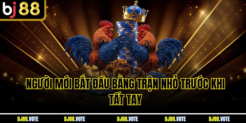 Người mới bắt đầu bằng trận nhỏ trước khi tất tay