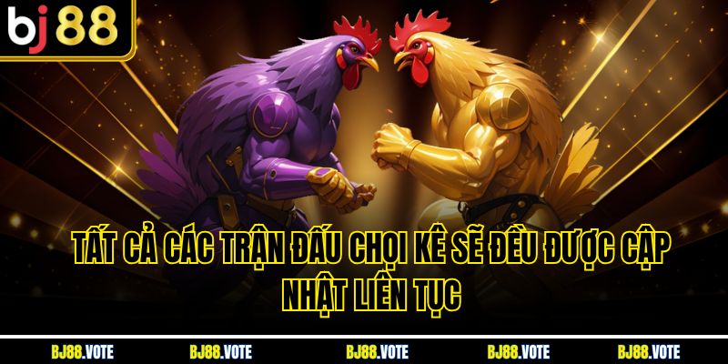 Tất cả các trận đấu chọi kê sẽ đều được cập nhật liên tục